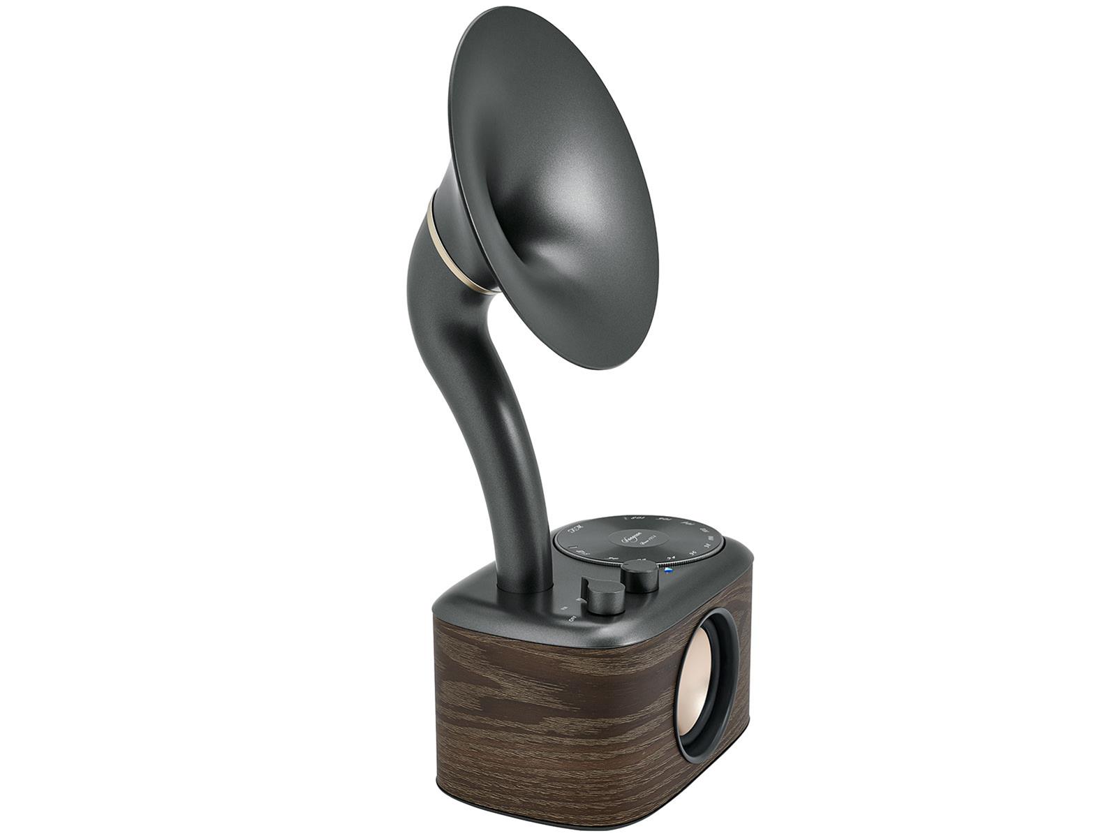 SANGEAN CP-100 Sangean CP-100 AM-FM-Bluetooth Receivers | DX Engineering